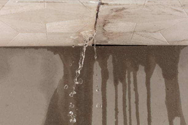 Professional Structural Drying technician working in Benton Ridge, OH